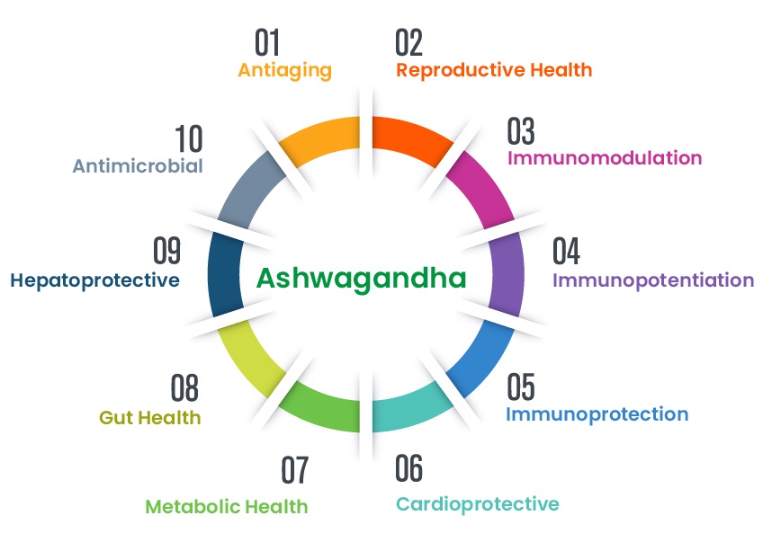 shagandha-benefits